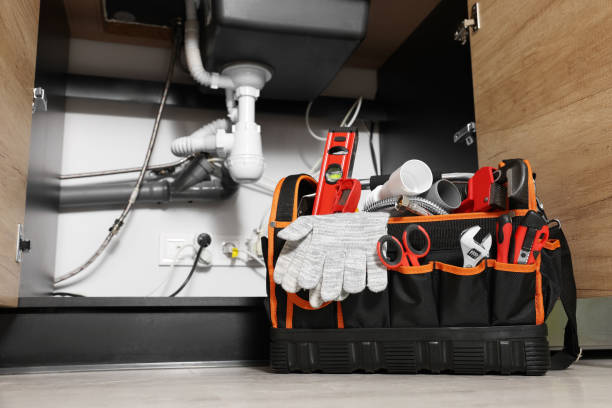 Best Toilet Repair Services  in Gridley, IL
