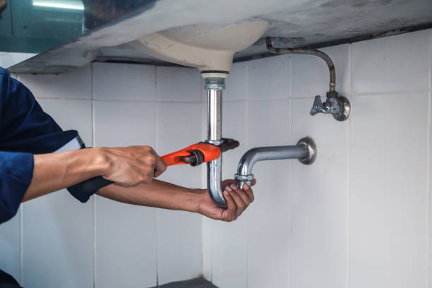 Best Affordable Plumber Near Me  in Gridley, IL