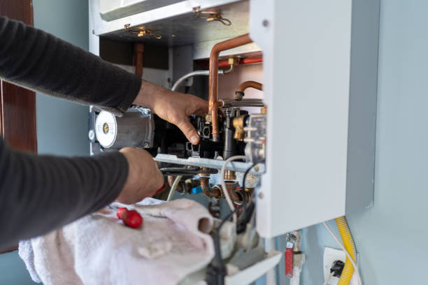 Best Affordable Plumbing Services  in Gridley, IL