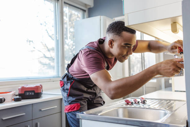 Best Residential Plumbing Services  in Gridley, IL
