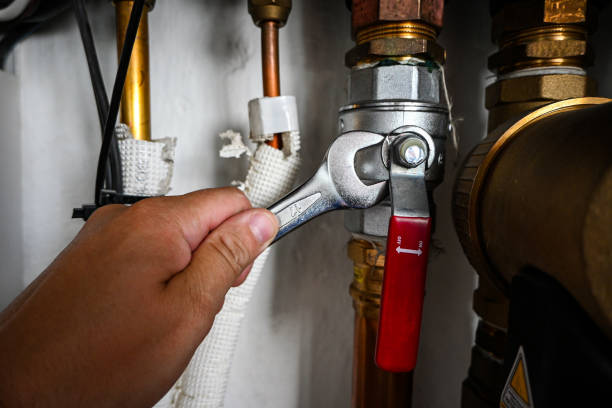 Best Affordable Plumbing Services  in Gridley, IL